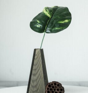 Inicio product 07